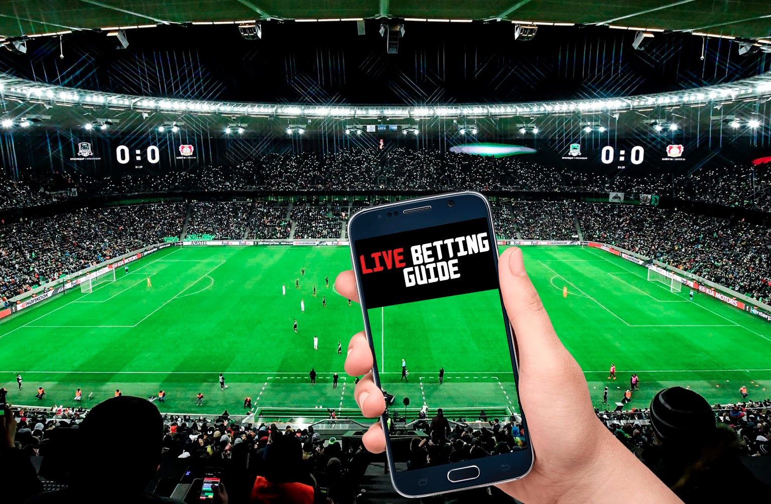 How to Choose a Reputable Live Betting Site